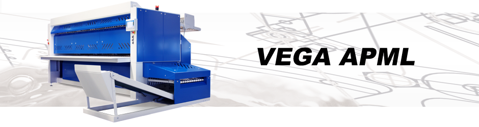 VEGA_APML_H1b
