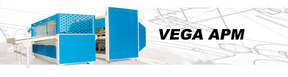 VEGA_APM_H1b